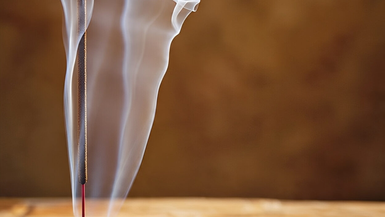 IMG 20250707 WA00181